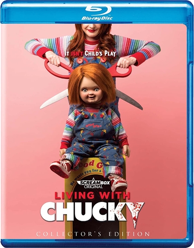 CHUCKY インディーズ CD 2025年最新】CHUCKY lisaの人気アイテム - メルカリ